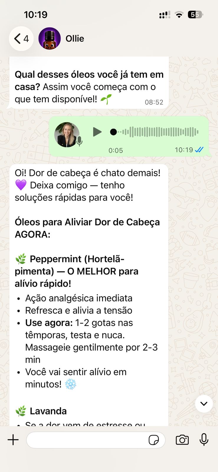 Ollie respondendo por áudio e texto